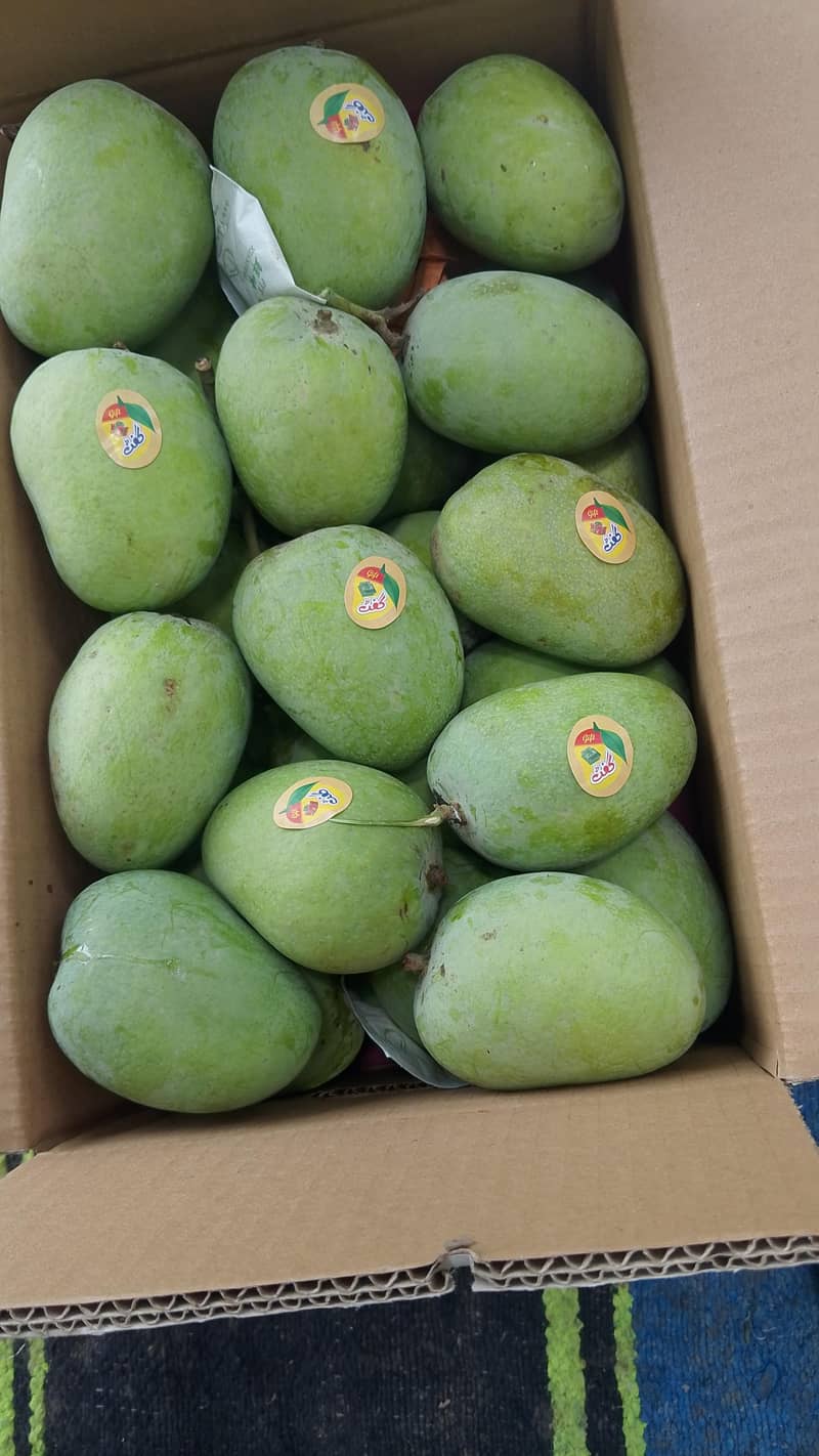 Mangos  9