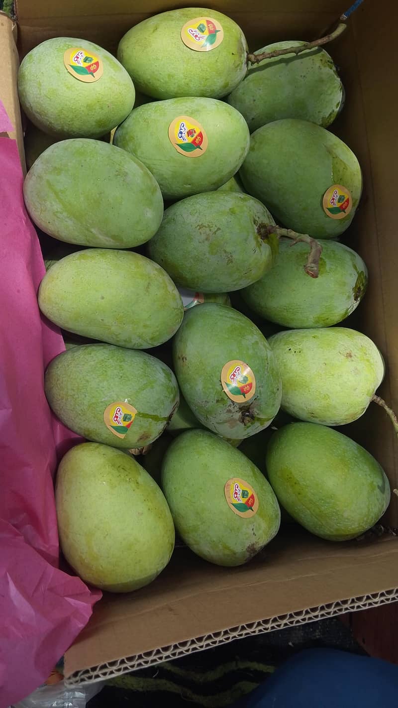 Mangos  10