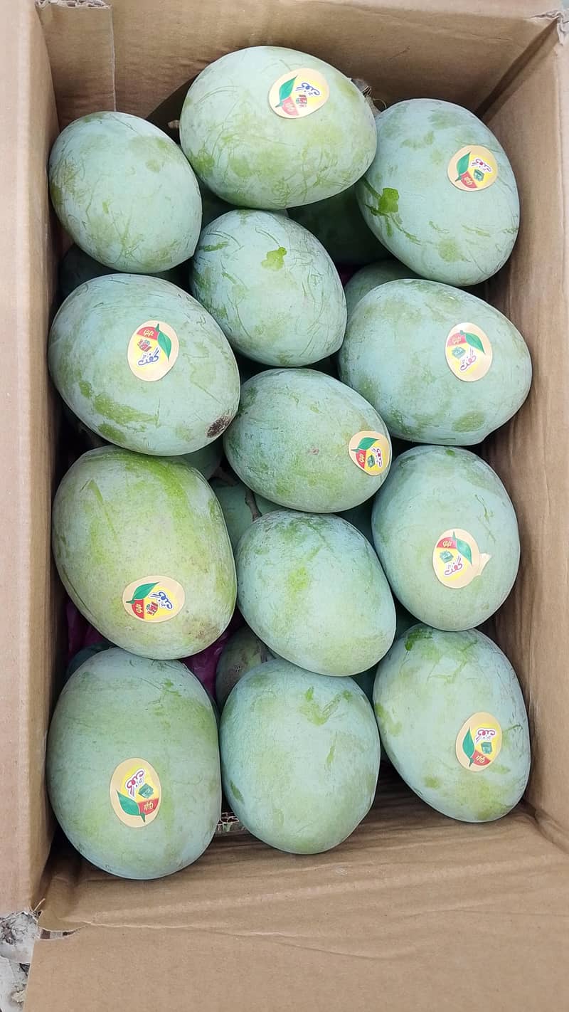 Mangos  11