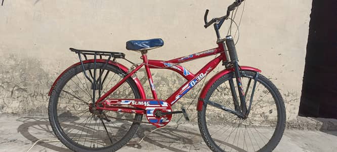 19 inch Bycycle