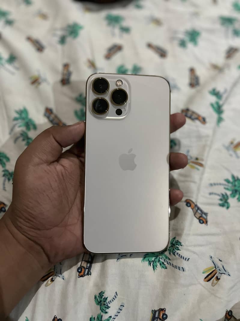iPhone 13 Pro Max 0