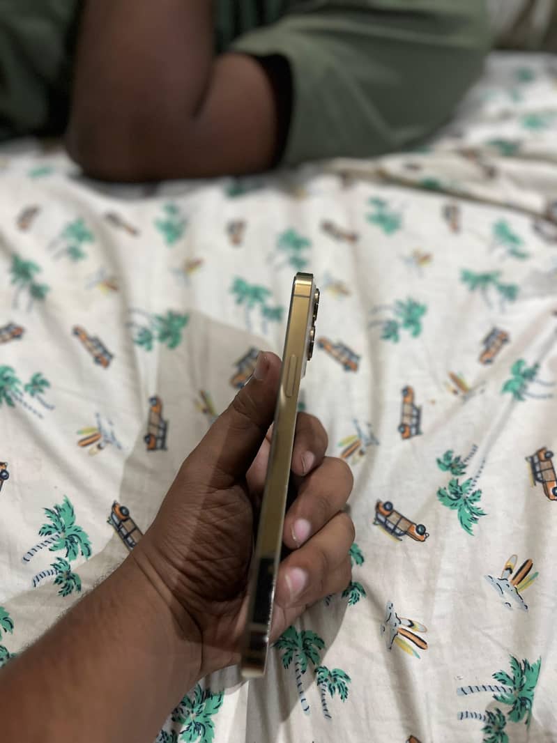 iPhone 13 Pro Max 2