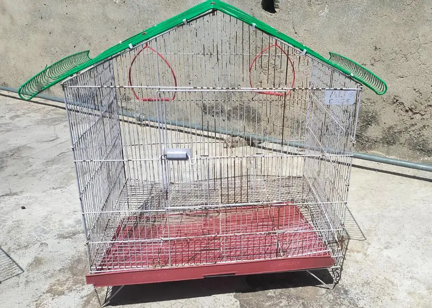 Bird Cage for sale — photo 2