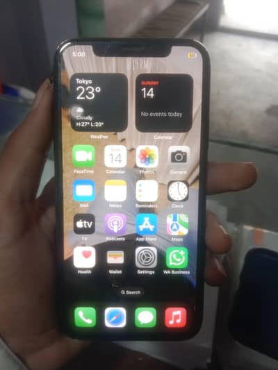 Apple iPhone X