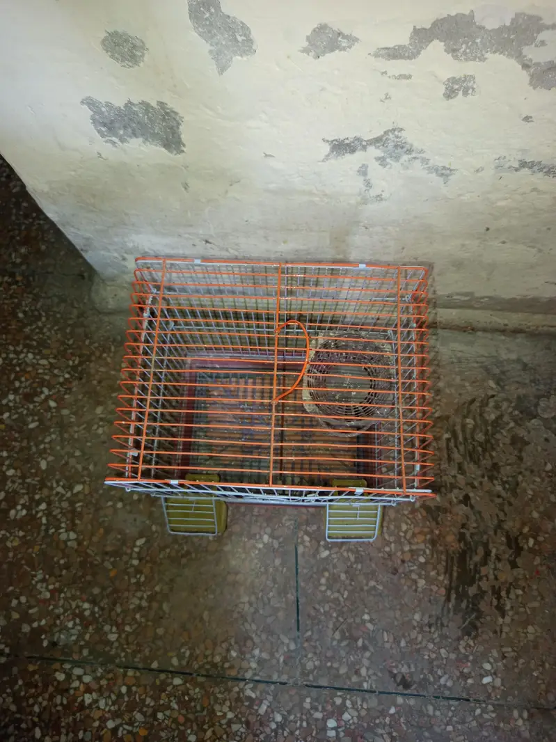 Folding cages — photo 2