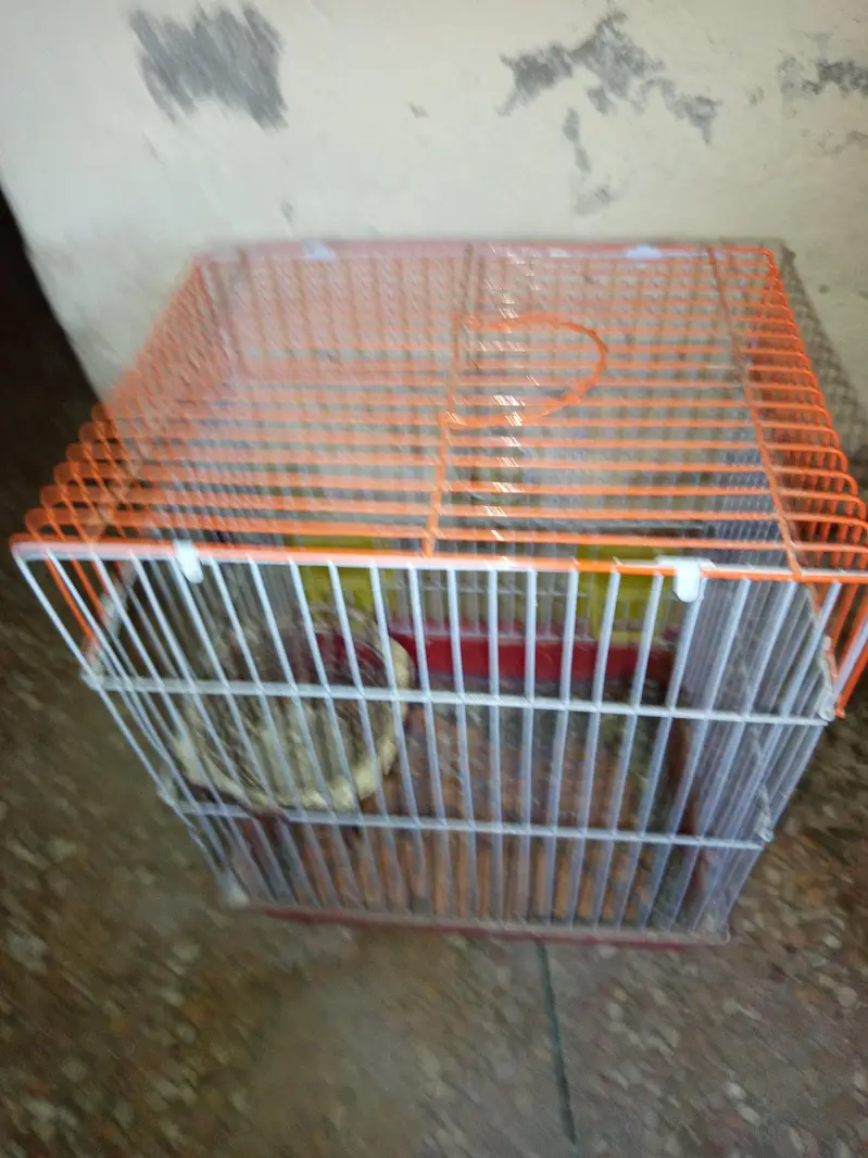 Folding cages — photo 3