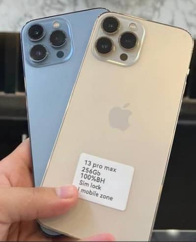 Apple iPhone 13 Pro Max