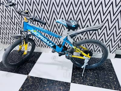 speed bicycle