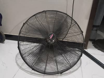Royal Bracket Fan