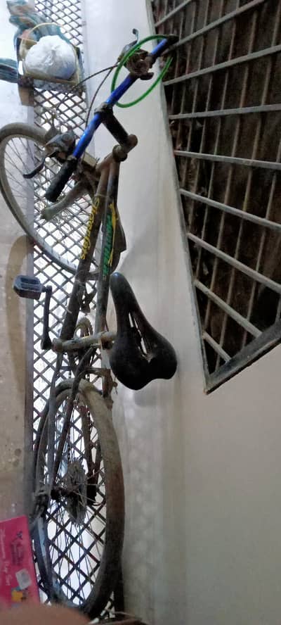 Bicycle For Sale