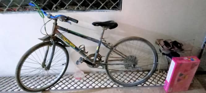 Bicycle For Sale
