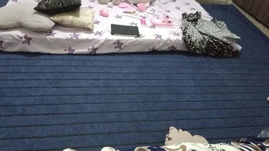 Navy blue color Carpet