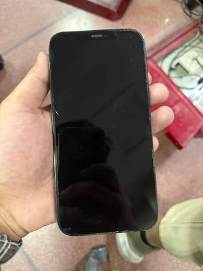 Apple iPhone 12 Pro Max