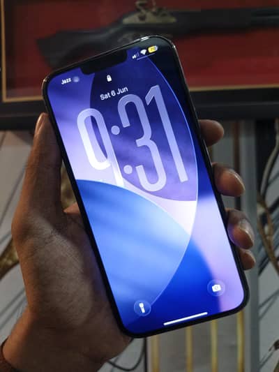 Apple iPhone 13 Pro Max