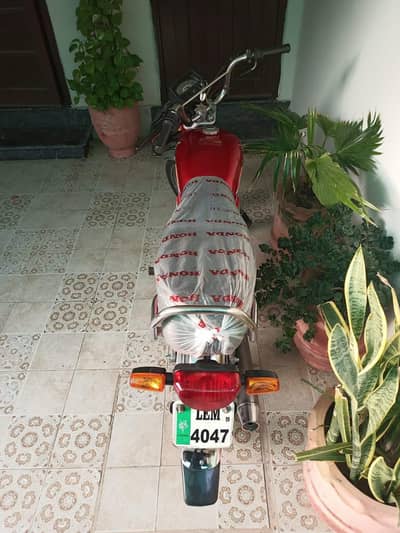 Honda cD 70cc Model 2020 Lahore Number