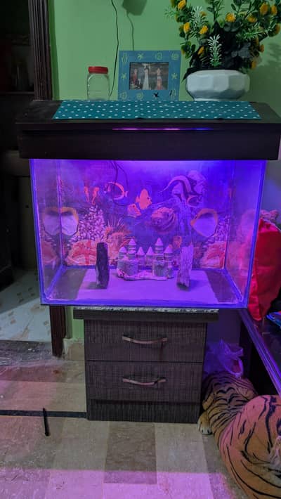 Aquarium