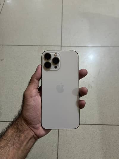 Apple iPhone 13 Pro Max