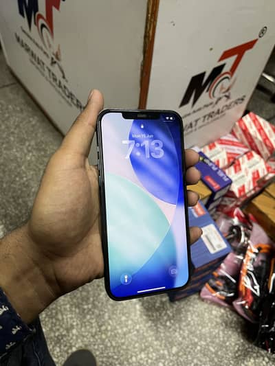 Apple iPhone 12 Pro Max