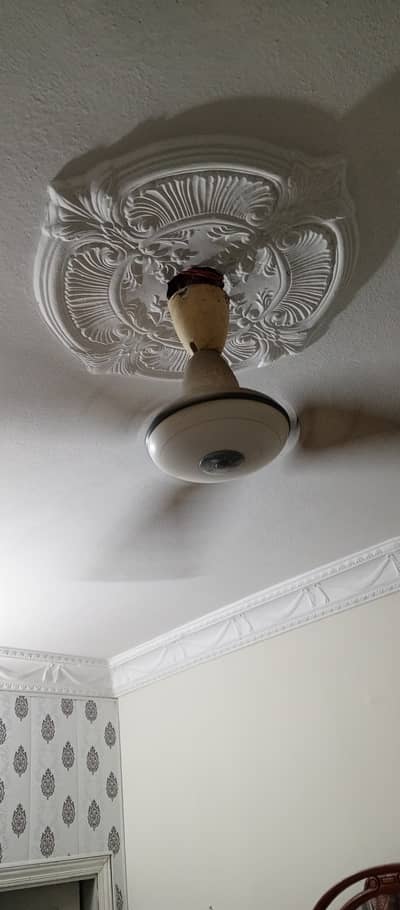 Ceiling Fan Pak Fan