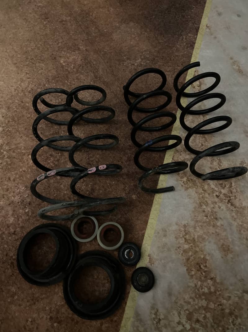 Vitz lowring spring 1