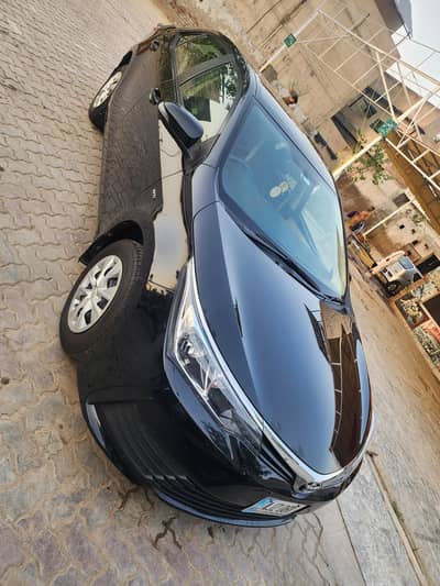 Best Maintained Gli 2019