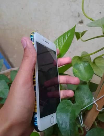 Apple iPhone 7 Official PTA