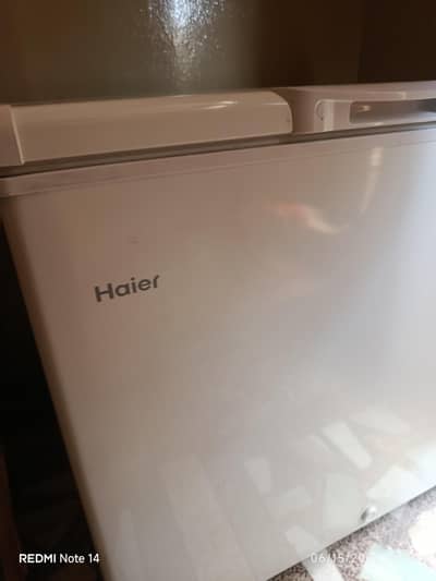 hairr single door freezer