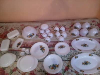 Nashpati (Apricot/Pear) Original dinner Set (France) 51 peice