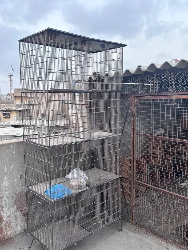 this is good quality cage and it is also good qualitymaterial — photo 7