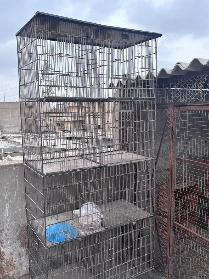 this is good quality cage and it is also good qualitymaterial — photo 8