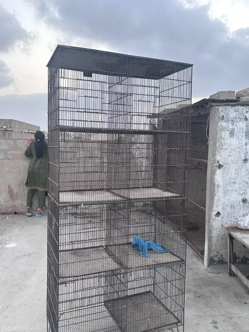 this is good quality cage and it is also good qualitymaterial — photo 9
