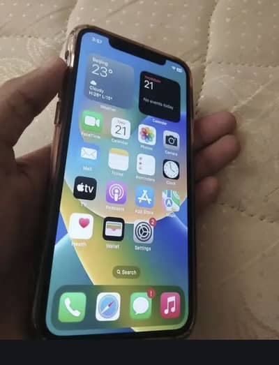 Apple iPhone X