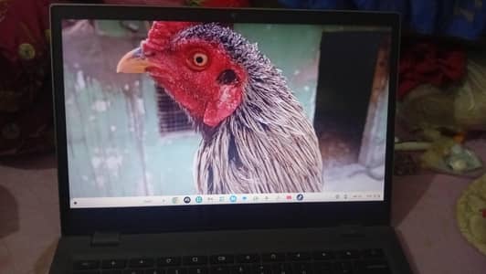 Lenovo Other Model