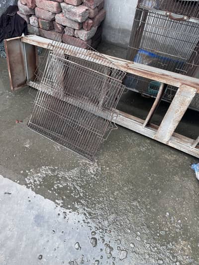 8 box cage for birds lovers