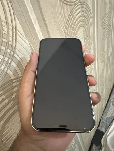 Apple iPhone 12 pro
