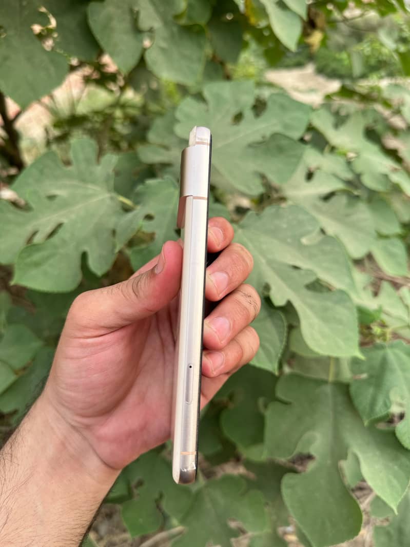 Google Pixel 8 2