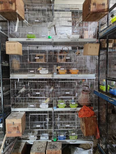 4 Portion Iron Cage 2/2 seprate