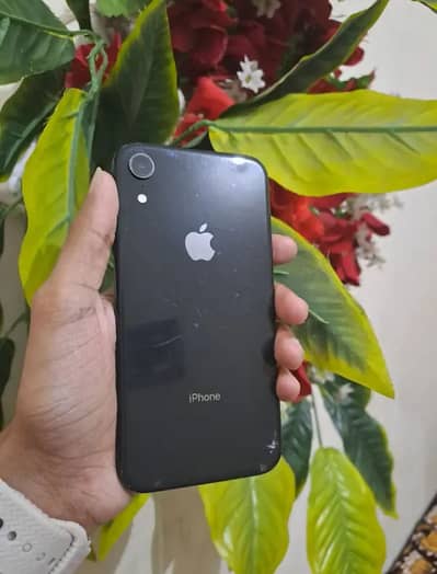 Apple iPhone XR