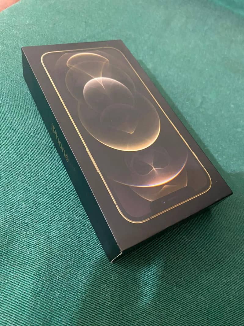 iPhone 12 Pro 4