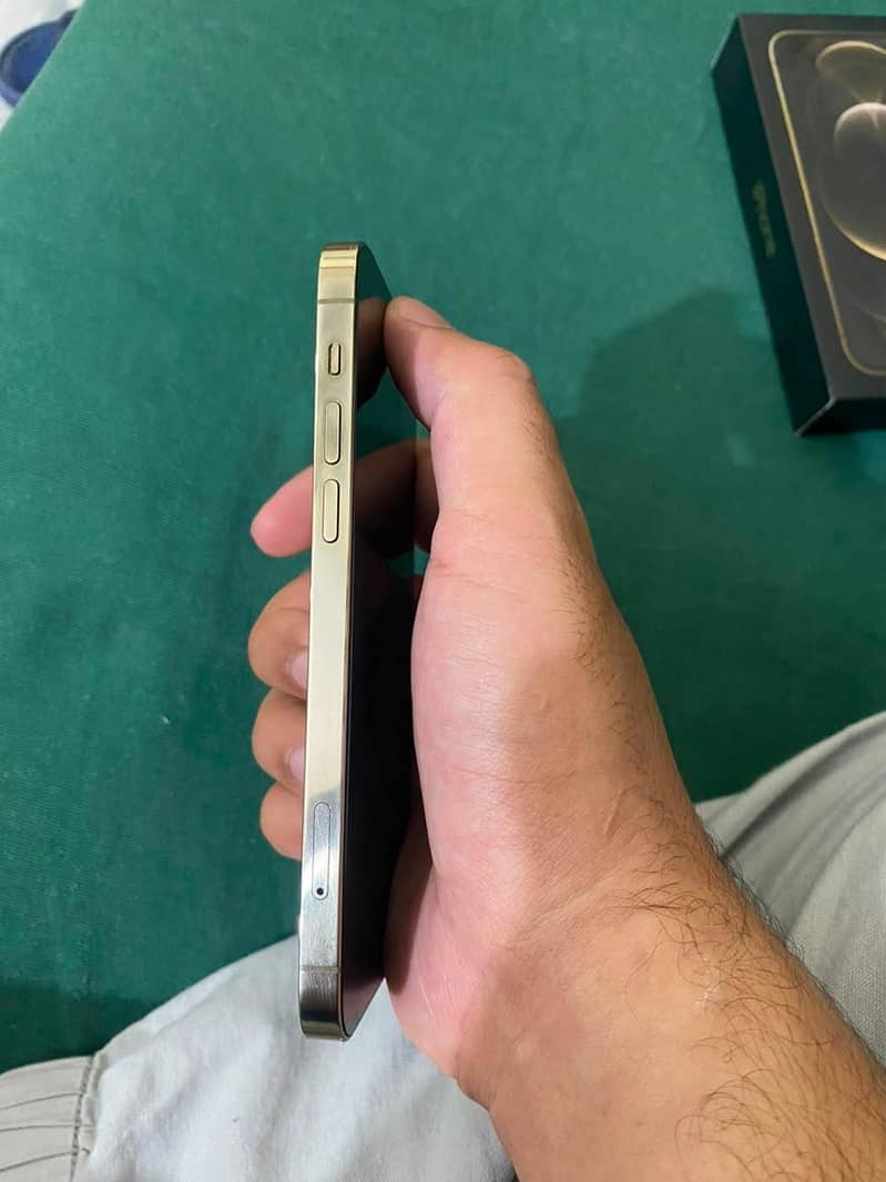 iPhone 12 Pro 6