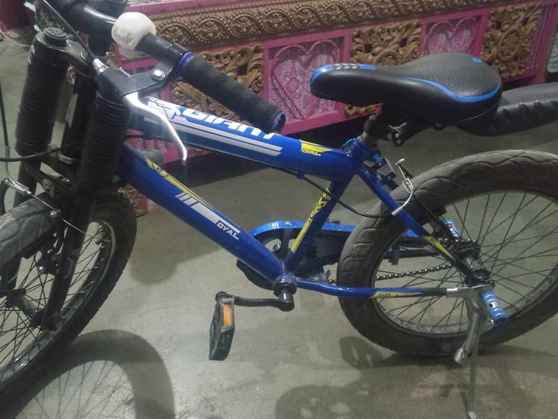 bicycles 3
