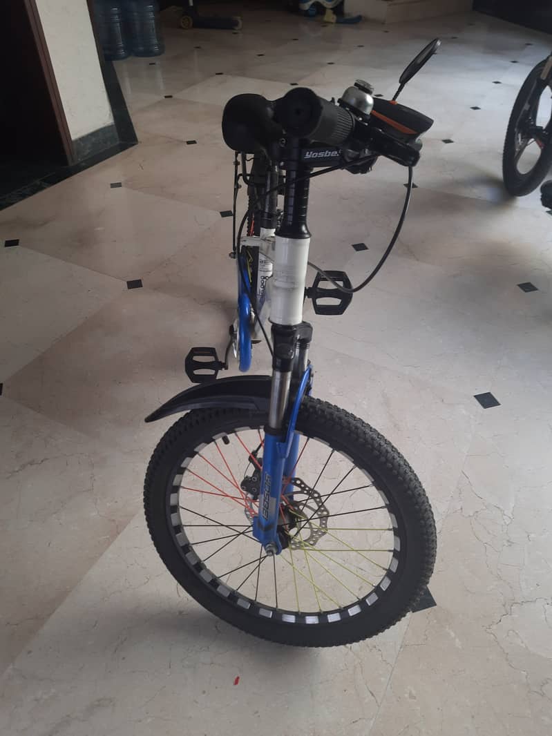 20" Cycle 1