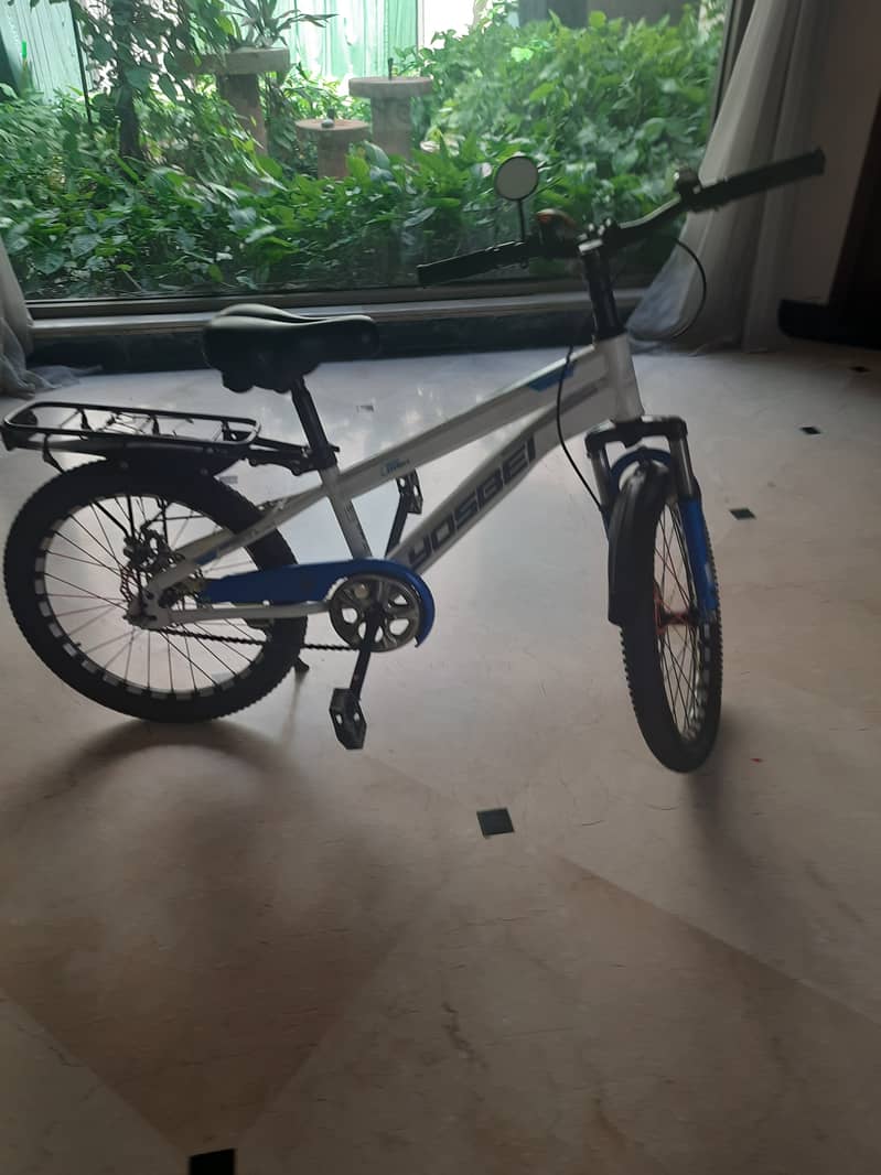 20" Cycle 2