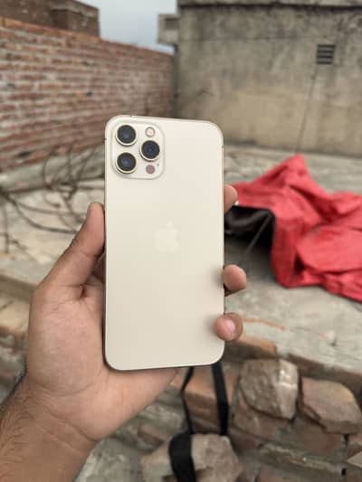 Apple iPhone 12 Pro Max