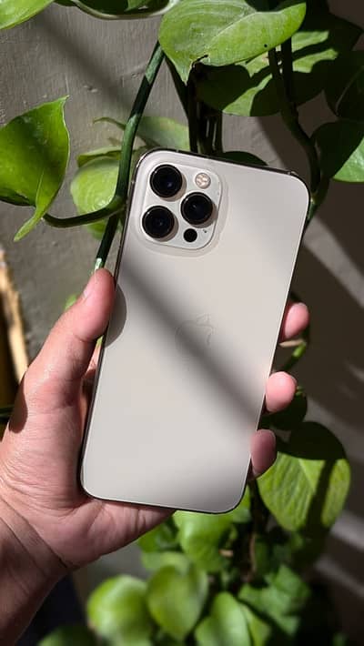 Apple iPhone 12 Pro Max nonpta