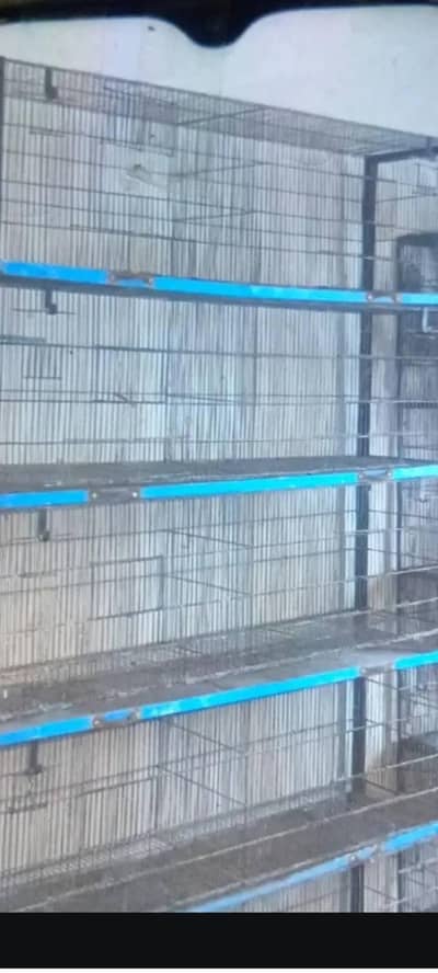 Some. cages and birds
