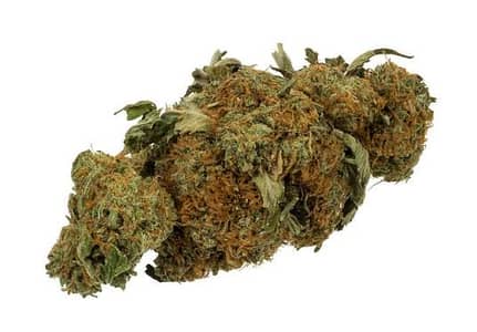 Weedo for sale