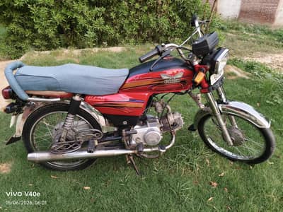 Rohi Bike 19/20 Modal Lush