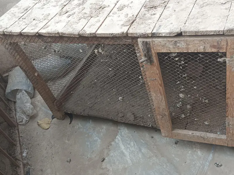 cages for sale — photo 2