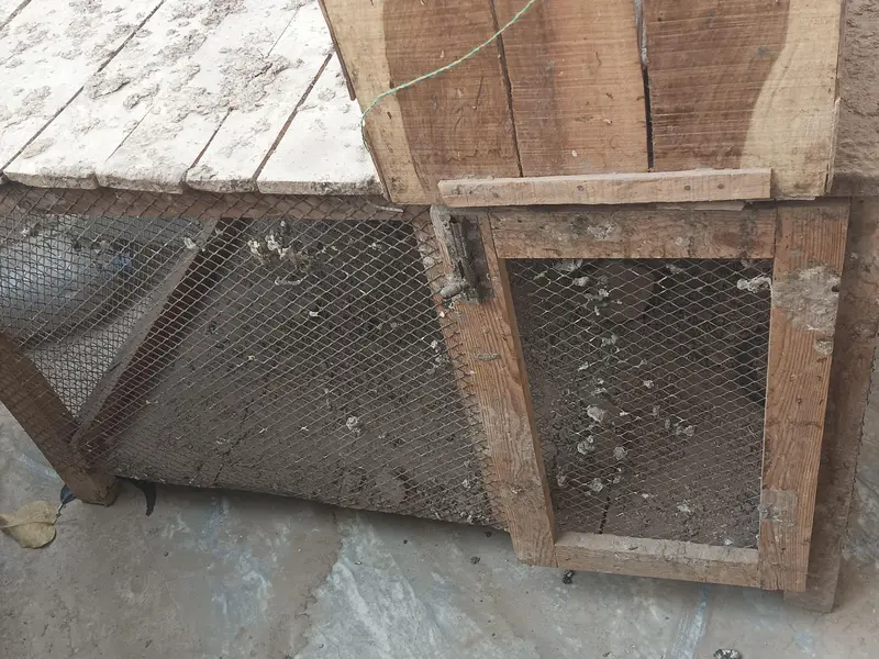 cages for sale — photo 3